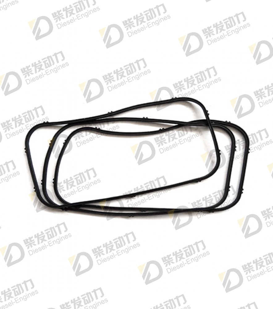 Gasket 469823 